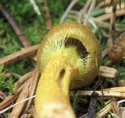 IMG_0009
