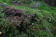 IMG_2393