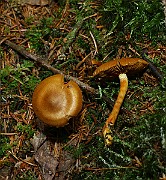 IMG_9370