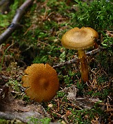 IMG_9372