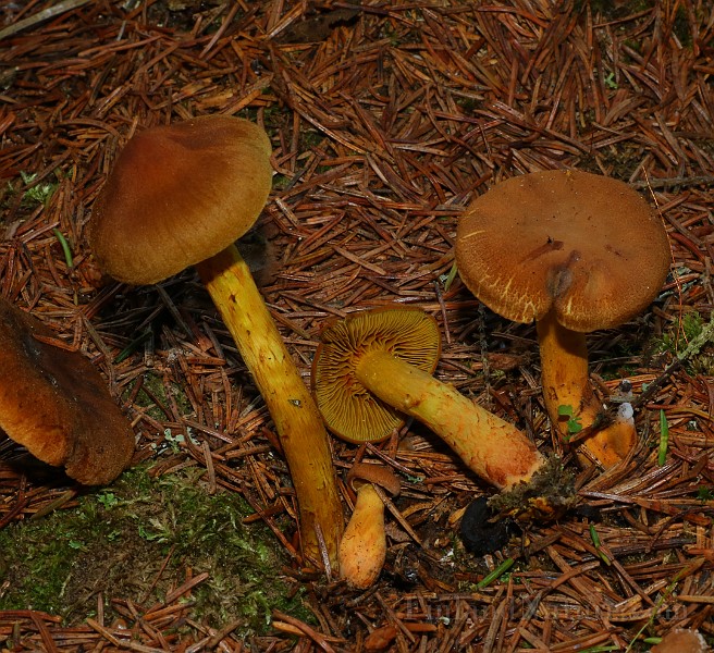 IMG_6178.JPG