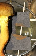 IMG_0426