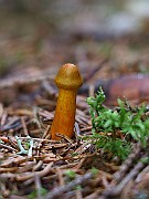 IMG_0952