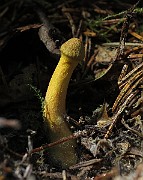 IMG_9919