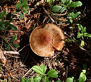 IMG_0864