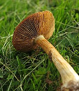IMG_2859