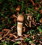 IMG_1096