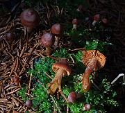 IMG_6263