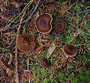 IMG_6172