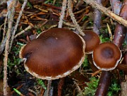 IMG_6173