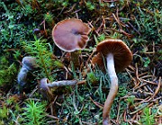 IMG_6194