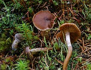 IMG_6195