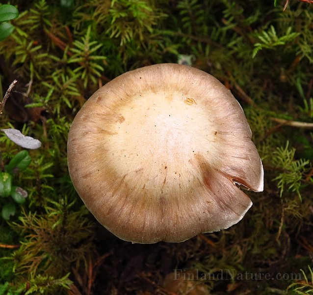 IMG_2765.JPG -                                