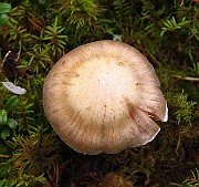 IMG_2765