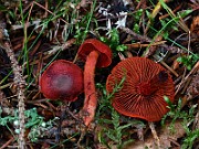 IMG_6066