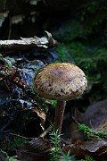 IMG_9244