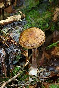 IMG_9247
