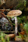 IMG_9248