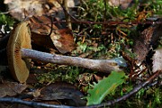 IMG_9255
