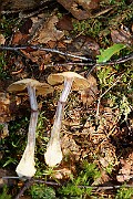 IMG_9256