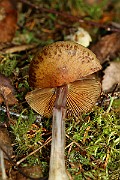 IMG_9261