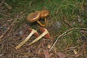 IMG_0642