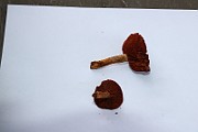 IMG_0713