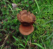 IMG_9450