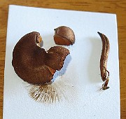 IMG_9865