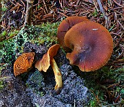 IMG_6180