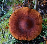 IMG_6182