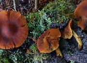 IMG_6183