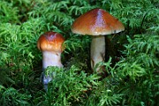 IMG_6228