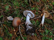 IMG_6257