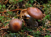 IMG_6259