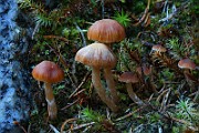 IMG_6188