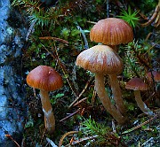 IMG_6189