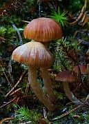 IMG_6190