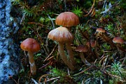 IMG_6191