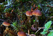 IMG_6193