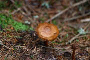 IMG_9382
