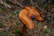 IMG_9383