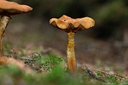 IMG_9387