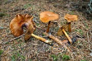 IMG_9389