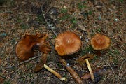 IMG_9392