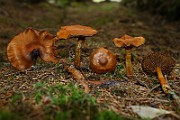 IMG_9393