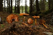 IMG_9394
