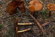 IMG_9396