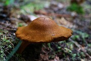 IMG_2435