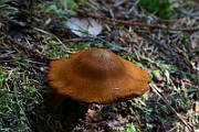 IMG_2436